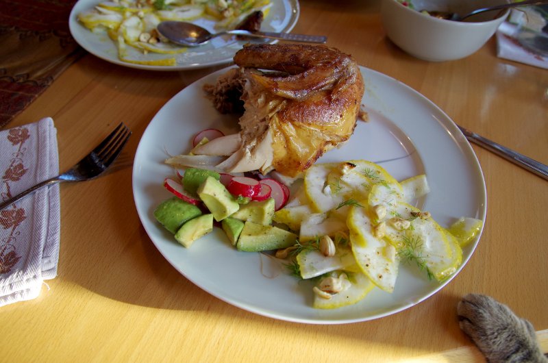 Hähnchen mit Ingwer,Rhabarber,Salbei, Zedratzitronensalat, Avocado-Radieschen-Salat
